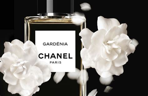 parfums chanel wertheimer|who is chanel owned by.